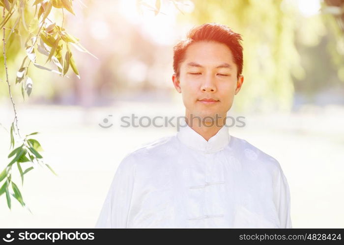 Handsome man practicing thai chi. Handsome man practicing thai chi in the park in the summertime