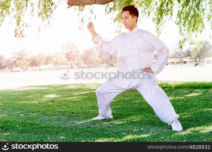 Handsome man practicing thai chi. Handsome man practicing thai chi in the park in the summertime