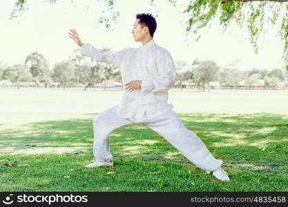 Handsome man practicing thai chi. Handsome man practicing thai chi in the park in the summertime