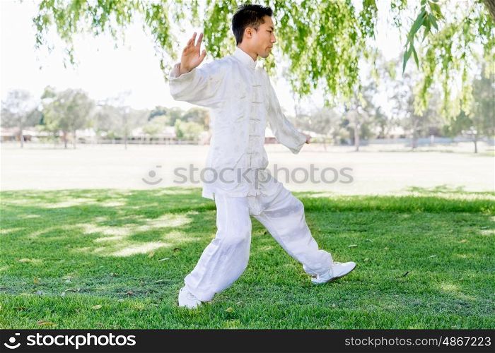 Handsome man practicing thai chi. Handsome man practicing thai chi in the park in the summertime