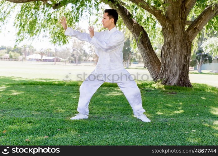 Handsome man practicing thai chi. Handsome man practicing thai chi in the park in the summertime