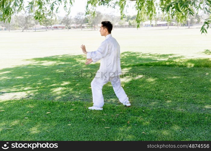 Handsome man practicing thai chi. Handsome man practicing thai chi in the park in the summertime