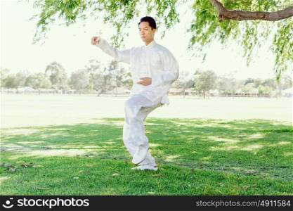 Handsome man practicing thai chi. Handsome man practicing thai chi in the park in the summertime