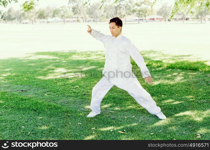 Handsome man practicing thai chi. Handsome man practicing thai chi in the park in the summertime