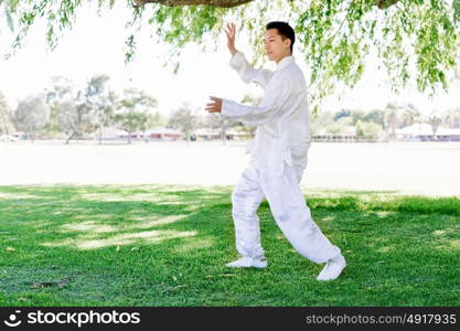 Handsome man practicing thai chi. Handsome man practicing thai chi in the park in the summertime