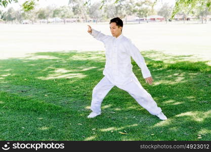 Handsome man practicing thai chi. Handsome man practicing thai chi in the park in the summertime