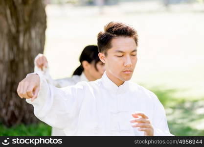 Handsome man practicing thai chi. Handsome man practicing thai chi in the park in the summertime