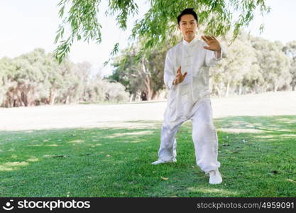 Handsome man practicing thai chi. Handsome man practicing thai chi in the park in the summertime