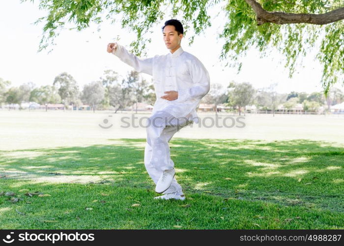 Handsome man practicing thai chi. Handsome man practicing thai chi in the park in the summertime