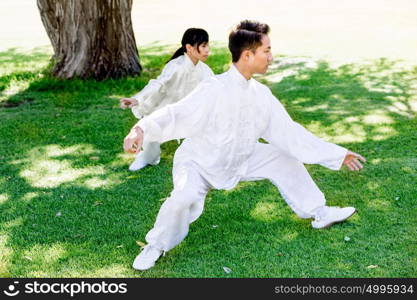 Handsome man practicing thai chi. Handsome man practicing thai chi in the park in the summertime