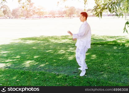 Handsome man practicing thai chi. Handsome man practicing thai chi in the park in the summertime