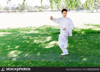 Handsome man practicing thai chi. Handsome man practicing thai chi in the park in the summertime