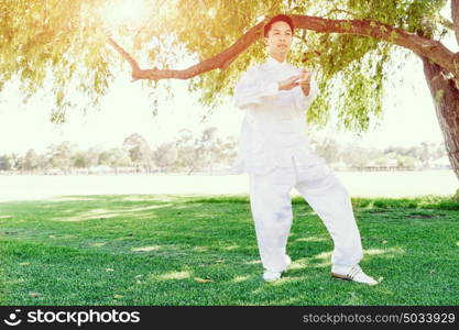 Handsome man practicing thai chi. Handsome man practicing thai chi in the park in the summertime