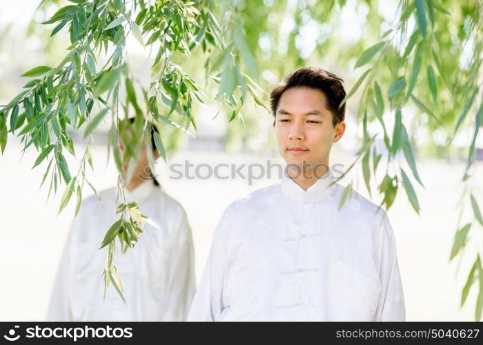 Handsome man practicing thai chi. Handsome man practicing thai chi in the park in the summertime