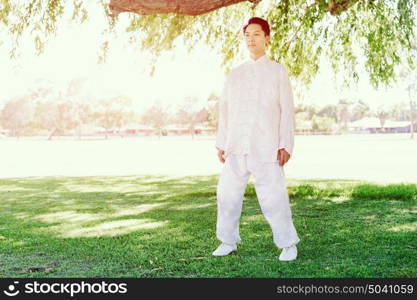 Handsome man practicing thai chi. Handsome man practicing thai chi in the park in the summertime