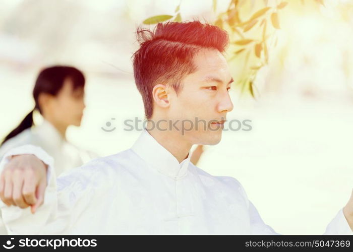 Handsome man practicing thai chi. Handsome man practicing thai chi in the park in the summertime