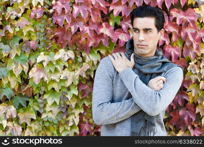 Handsome man with blue eyes wearing winter clothes in autumn leaves background. Young male with swater and scarf.