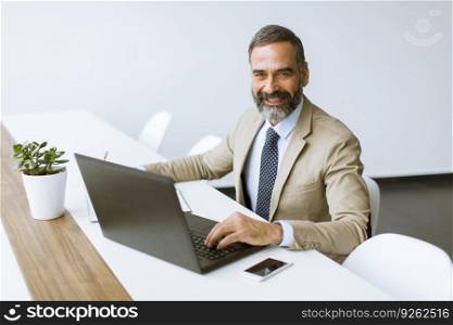 Handsome mature businessman in classic suit  using a laptop while working in his office