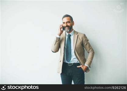 Handsome mature businessman talking on mobile phone in the office