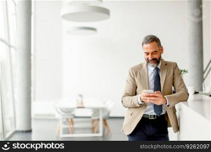Handsome mature businessman  with mobile phone in the office
