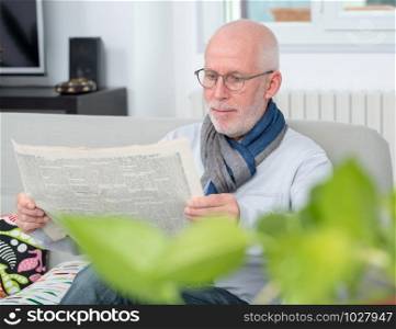 handsome mature man reading a newpaper on sofa