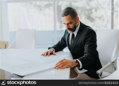 Handsome middle aged businessman looking at the plans in modern office