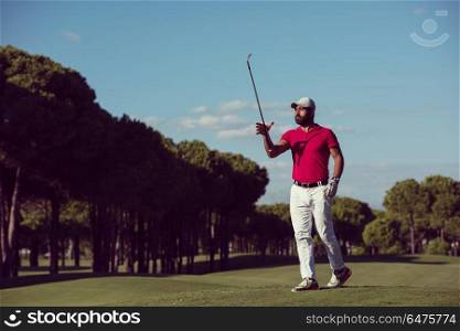 handsome middle eastern golf player carrying driver and walking at course on beautiful morning. golf player walking and carrying driver