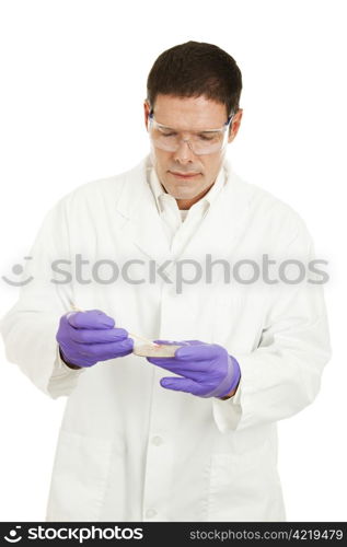 Handsome scientist preparing a culture in a petri dish.