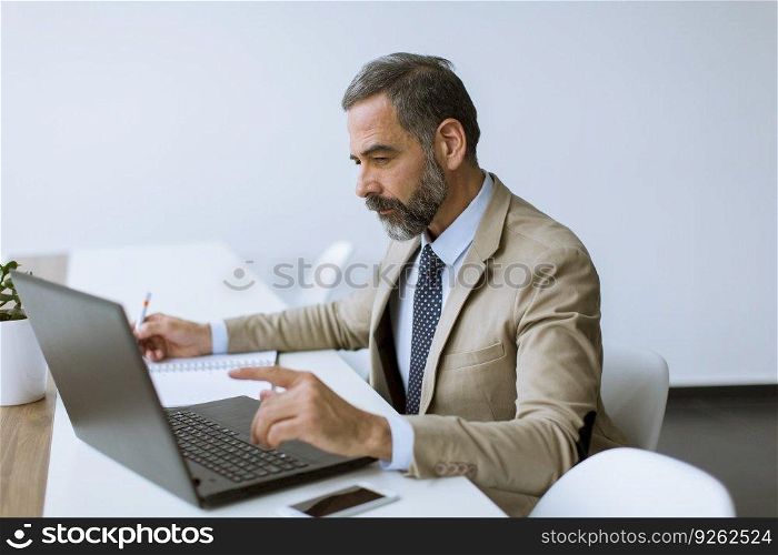 Handsome senior businessman gray hair working on laptop in modern office