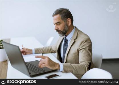 Handsome senior businessman gray hair working on laptop in modern office