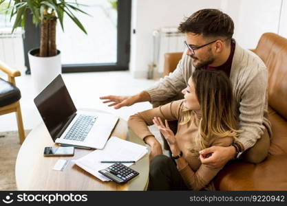 Handsome young couple using laptop together while sitting on sofa at home