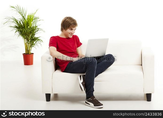 Handsome young man at home sitting on the couch and working on the laptop