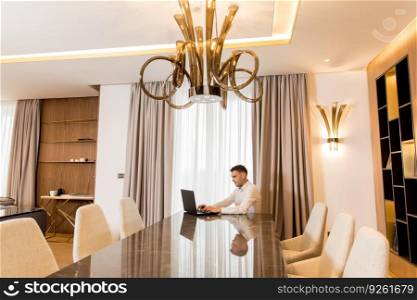 Handsome young man sitting in a luxurious room in front of a laptop computer