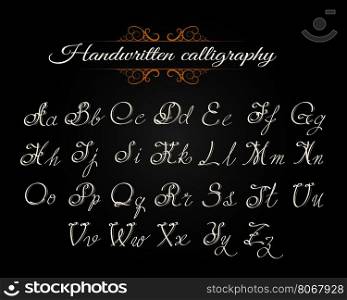Handwritten calligraphy alphabet. Latin letters on black background. Vector Illustration.