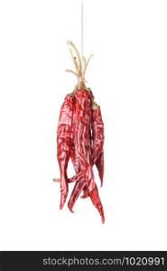 Hanged dry and sear hot red chili peppers isolated on white background