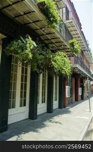 Hanging baskets on a building, New Orleans, Louisiana, USA