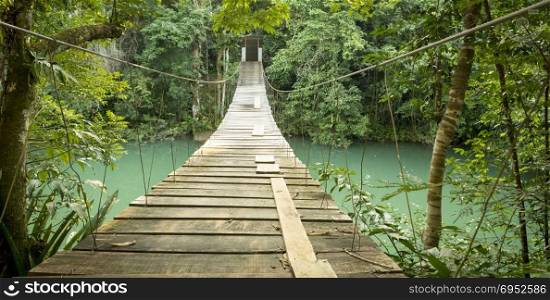 Hanging bridge over river in jungle of Rio Blanco National Park in Toledo Belize