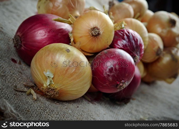Hanging bunch bundle of onion on canvas and wooden table