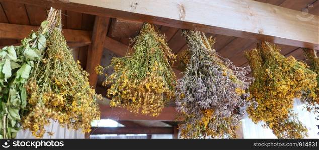 Hanging bunches of herbs and flowers