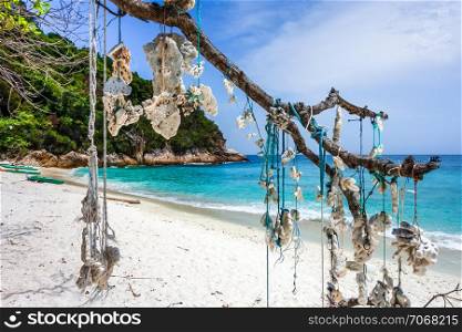 Hanging coral on romantic beach, Perhentian Islands, Terengganu, Malaysia. Hanging coral, Perhentian Islands, Malaysia