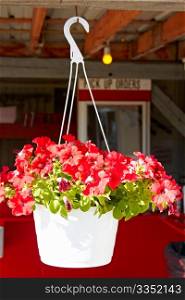 Hanging flower pot in front of seafood restaurant in Maine.