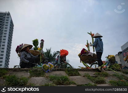 HANOI VIETNAM - NOV6,2017 : vietnam woman arrangement flower on bicycle basket for selling colorful flower in Quang An market hanoi vietnam