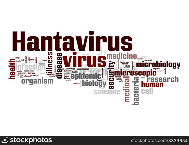 Hantavirus virus word cloud