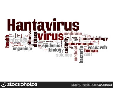 Hantavirus virus word cloud