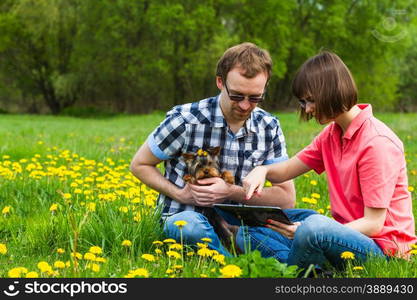 happiness yarn family with york terrier and notepad on wild meadow with dandelion