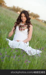 Happy and relaxed pregnant woman sitting on the grass