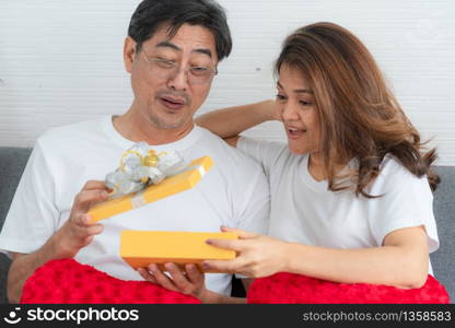 Happy Asian senior couple having good time at home. Old people retirement and healthy citizens elderly concept.