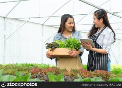 Happy Asian woman farmer holding a vegetable basket and tablet and smiling after harvest vegetables from the hydroponic farm. Concept of high quantity control and Quality for a hydroponic farm