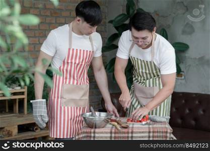 Happy Asian young LGBT gay couple with apron cooking together. Handsome man cutting tomato cucumber and his boyfriend looking at him in kitchen at home. Relationship of homosexual lifestyle concept