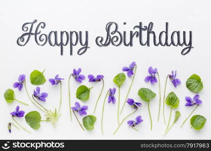 Happy birthday greetings with fresh viola flowers and leaves on white art canvas